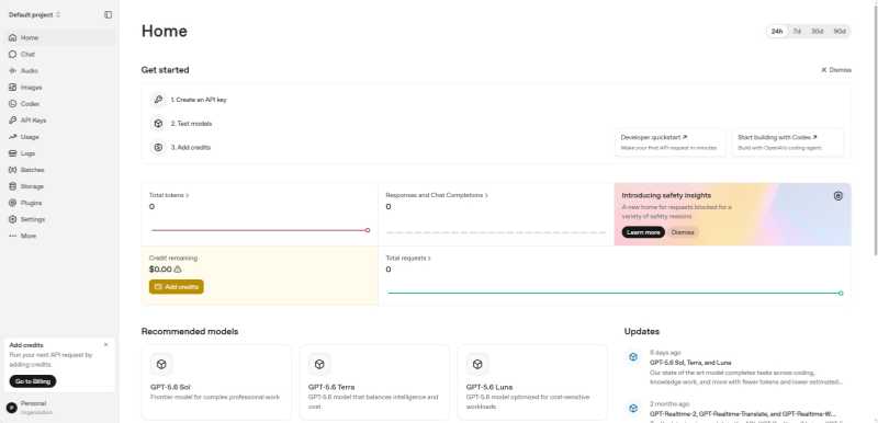 OpenAI API