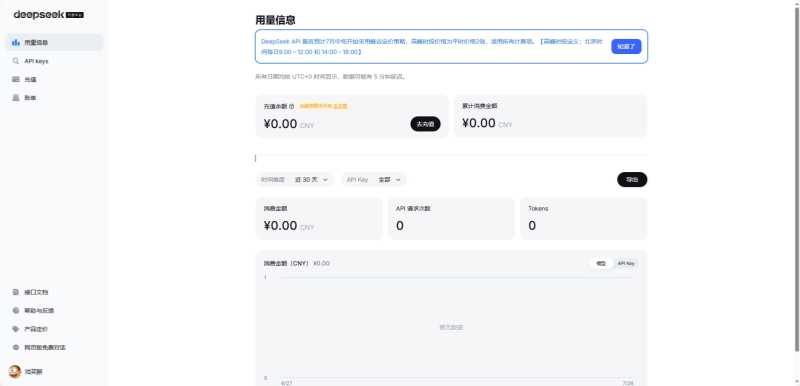 DeepSeek API
