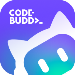 CodeBuddy