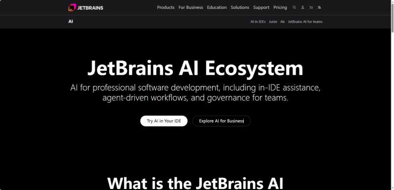 JetBrains AI